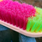 Basic Horse Care Grooming Brush (www.Basic-Horse-Care.com) Basic Horse Care Grooming Brush (www.Basic-Horse-Care.com)