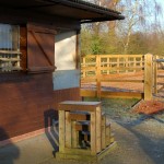 Stabling Horses - Advice For Keeping Your Horse in A Stable | Basic