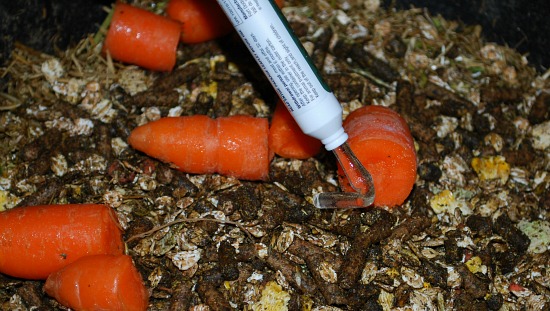 Basic Horse Care Wormer in food (www.Basic-Horse-Care.com) Basic Horse Care Wormer in food (www.Basic-Horse-Care.com)