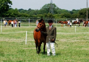 In Hand County Show (www.Basic-Horse-Care.com)