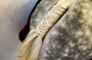 Plaiting horse tail (www.Basic-Horse-Care.com)