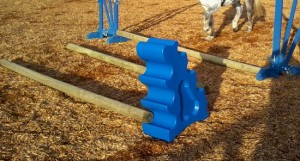Schooling Pole Work (www.Basic-Horse-Care.com)